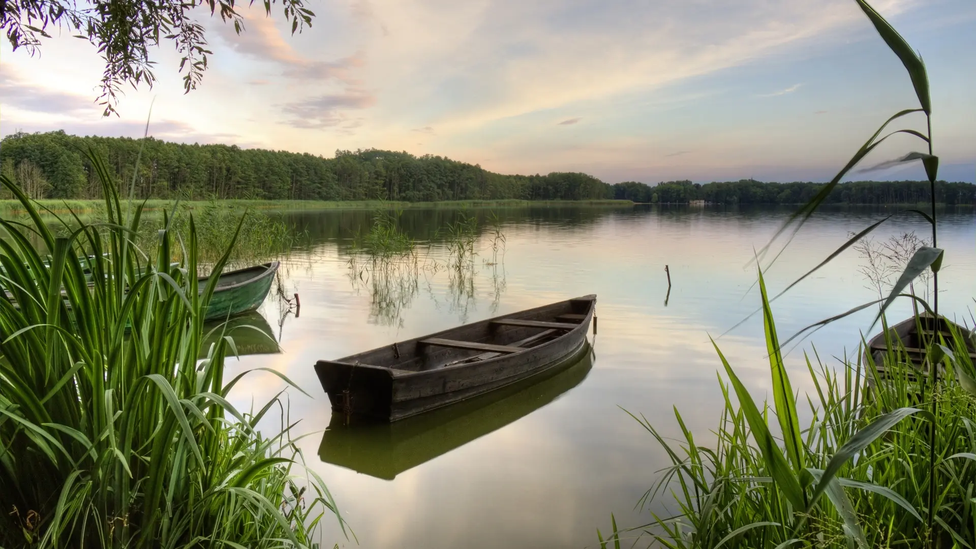 AdobeStock_40293230